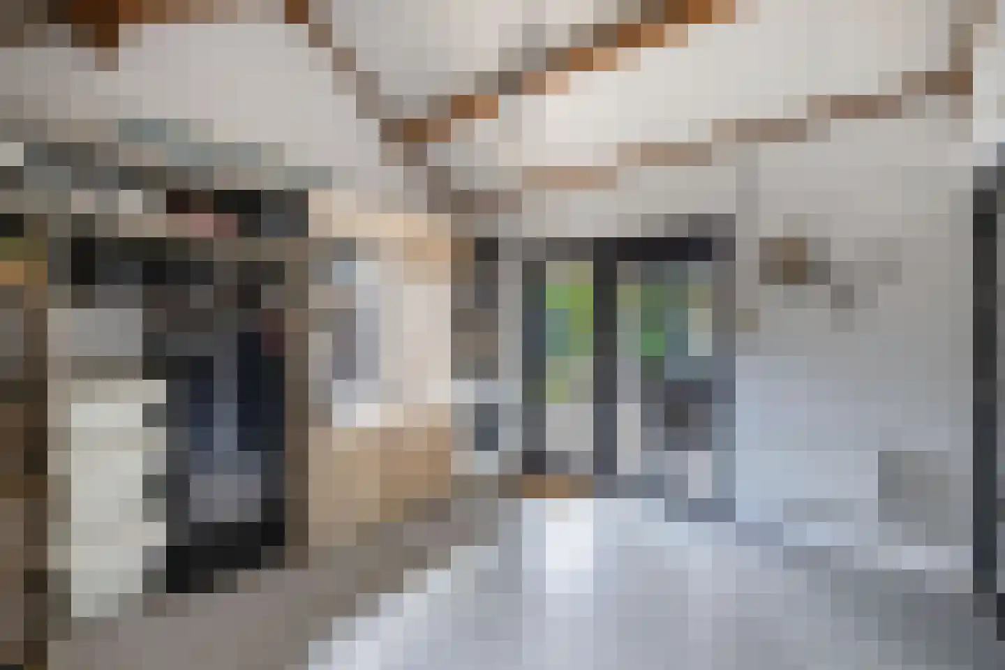Tweeschaar 28 Bant thumbnail 25