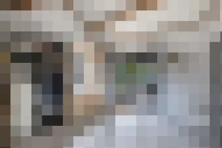 Tweeschaar 28 Bant thumbnail 25