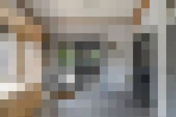 Tweeschaar 28 Bant thumbnail 26