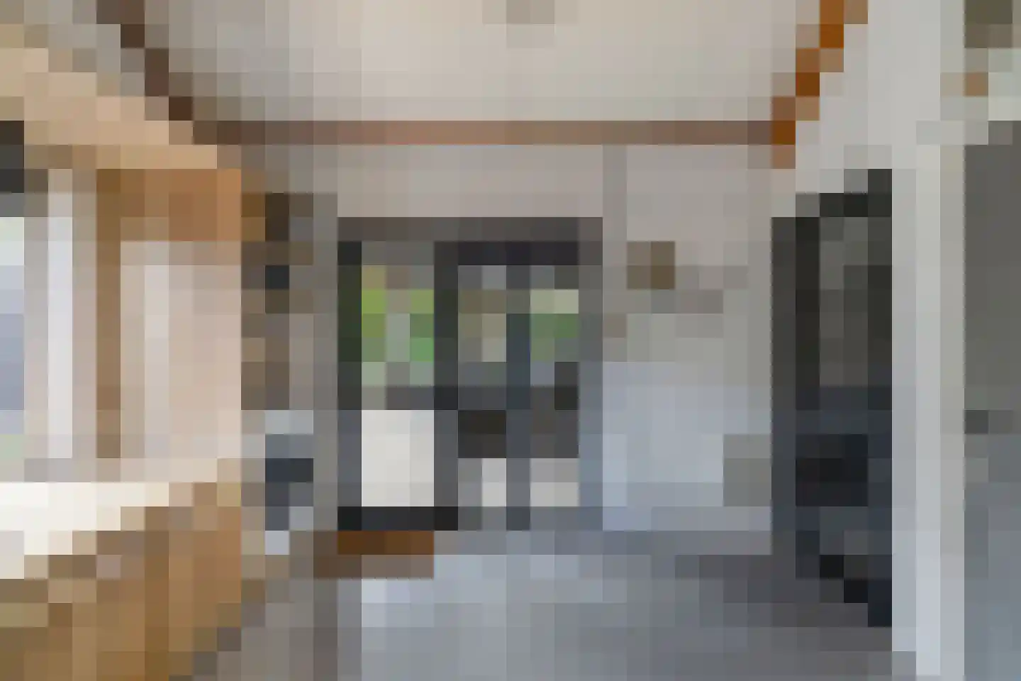 Tweeschaar 28 Bant thumbnail 26