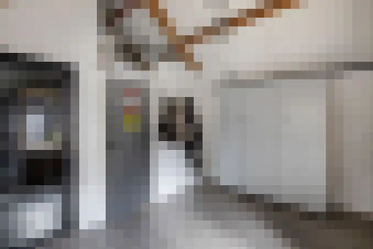 Tweeschaar 28 Bant thumbnail 27