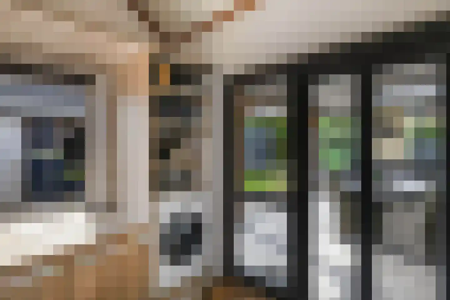 Tweeschaar 28 Bant thumbnail 28