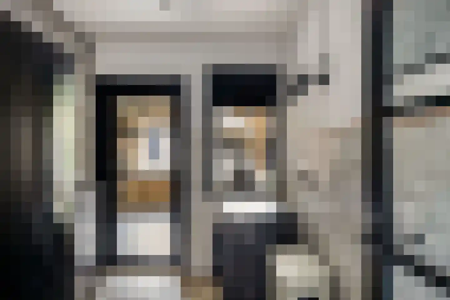 Tweeschaar 28 Bant thumbnail 29