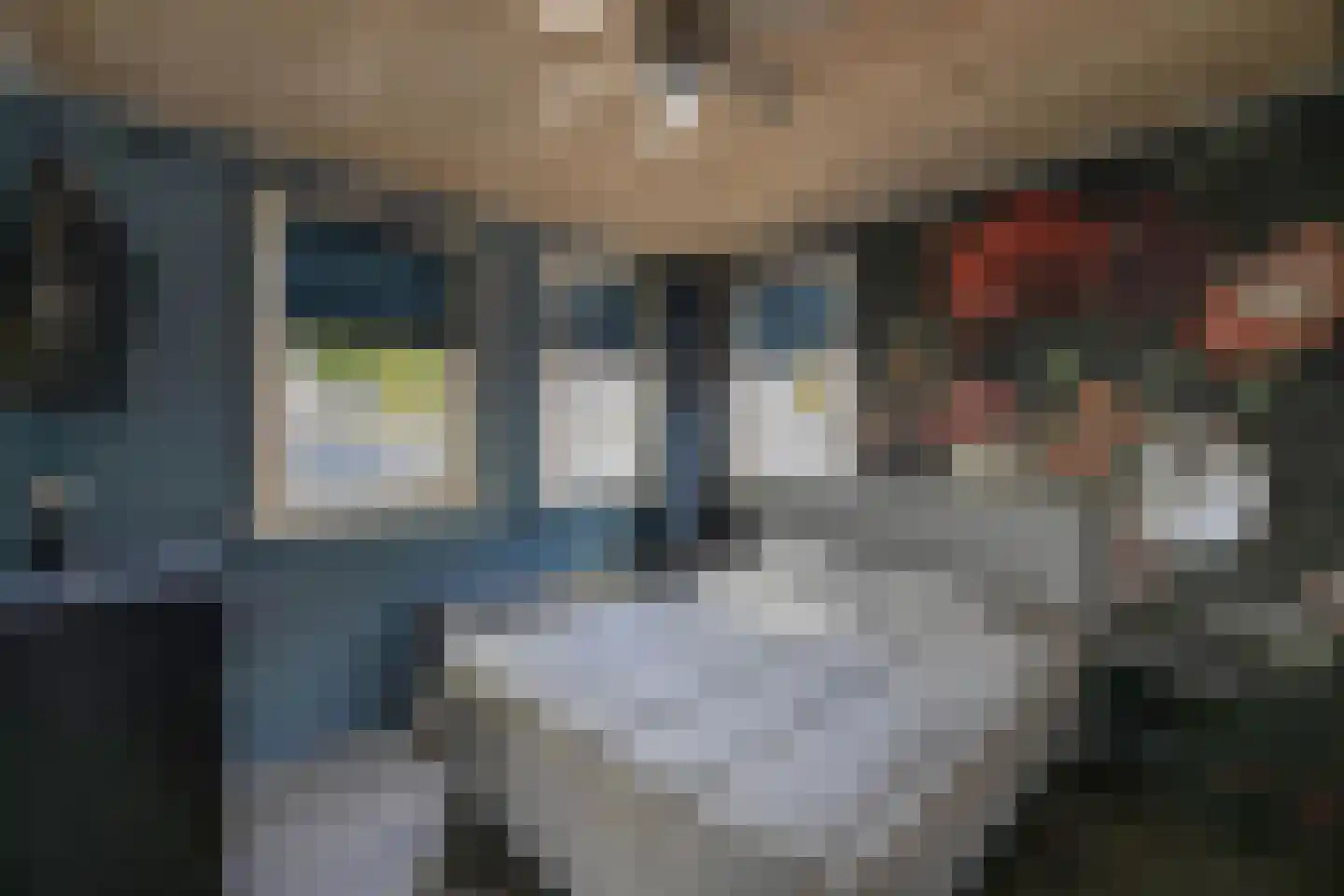 Tweeschaar 28 Bant thumbnail 30