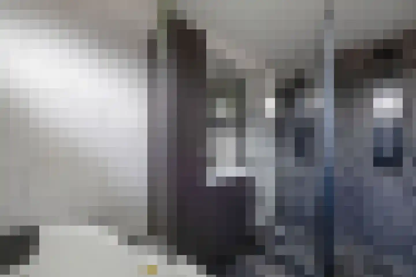 Tweeschaar 28 Bant thumbnail 34