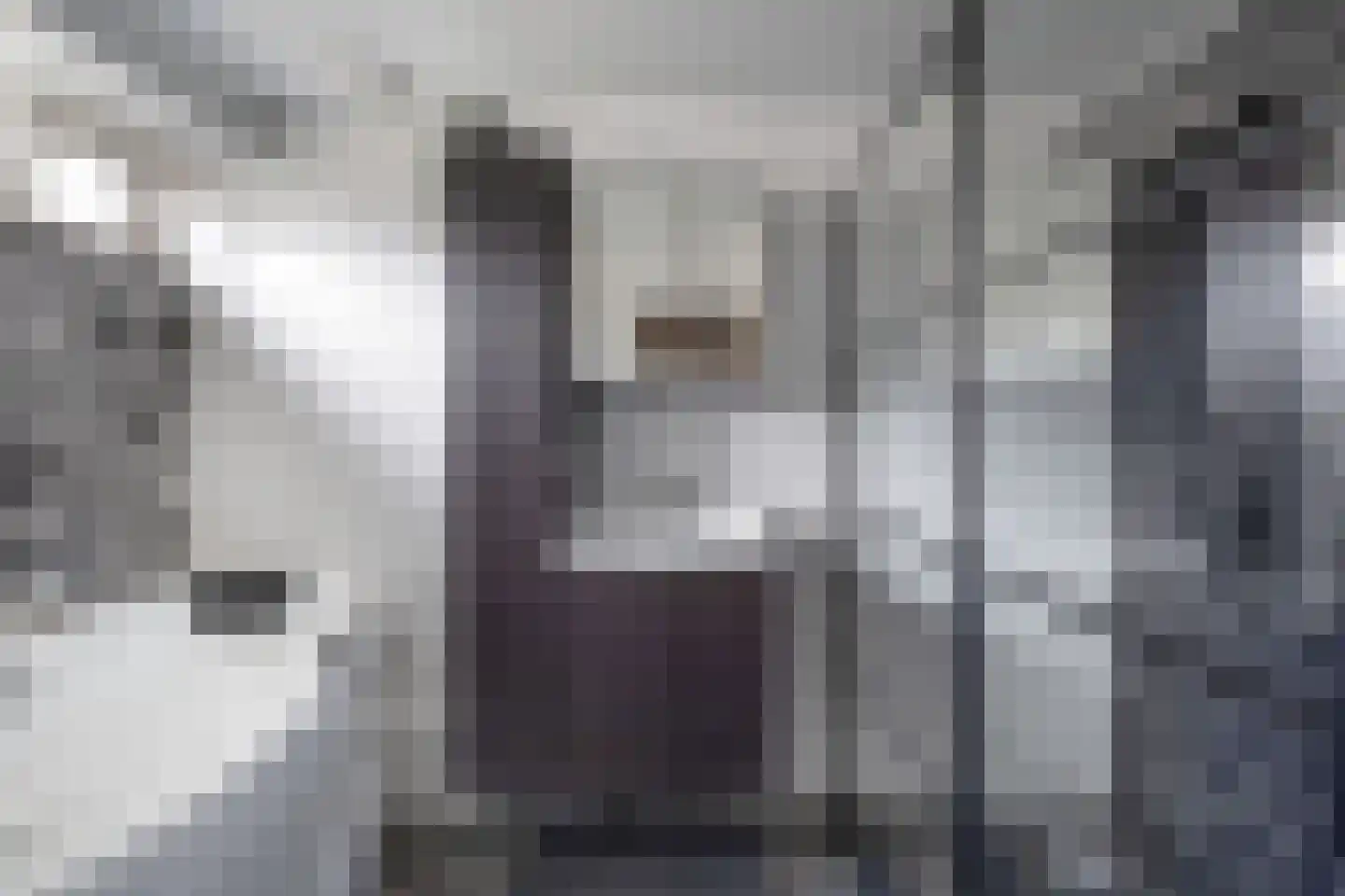 Tweeschaar 28 Bant thumbnail 35
