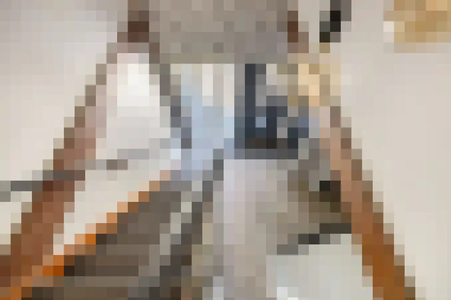 Tweeschaar 28 Bant thumbnail 36