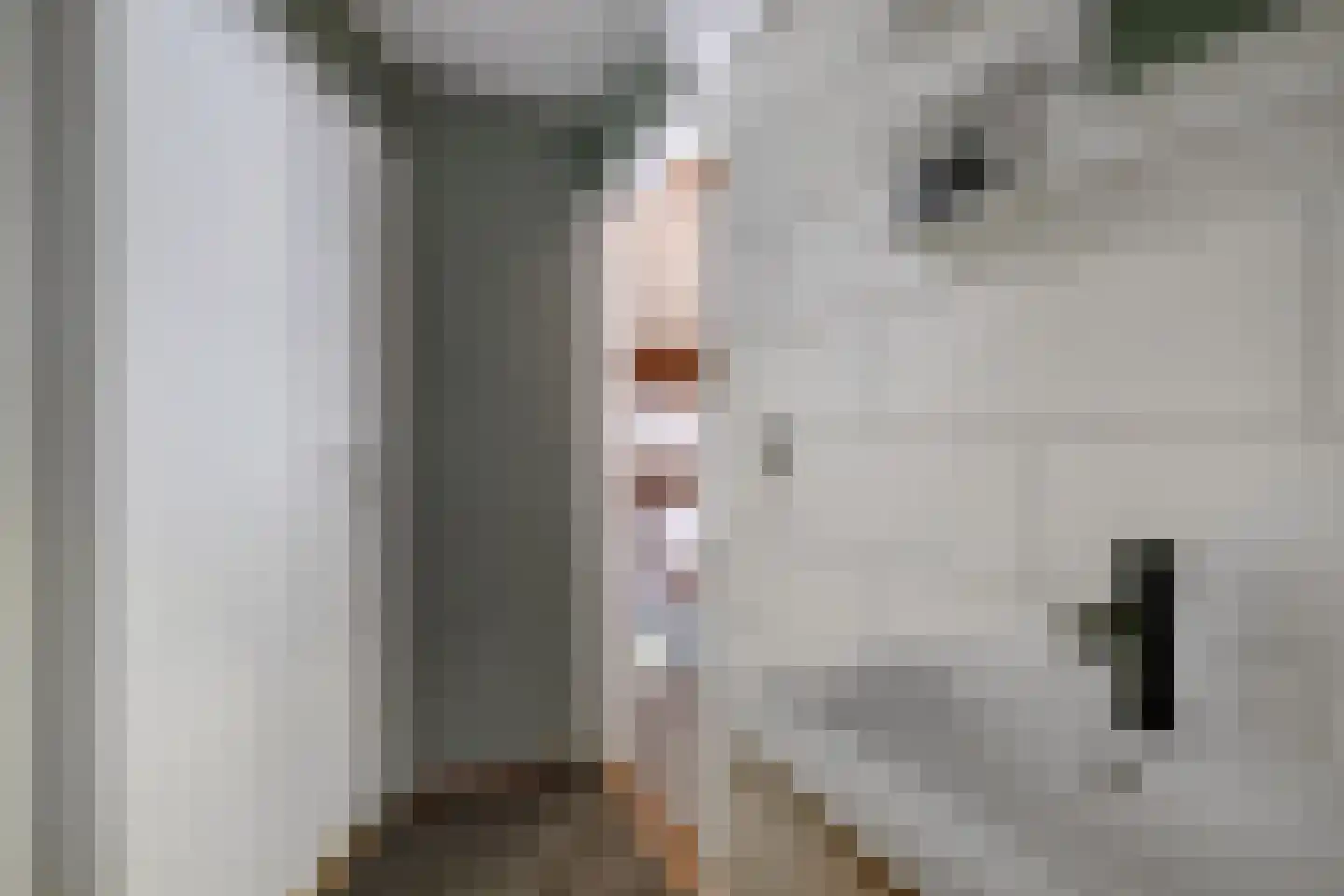 Tweeschaar 28 Bant thumbnail 39