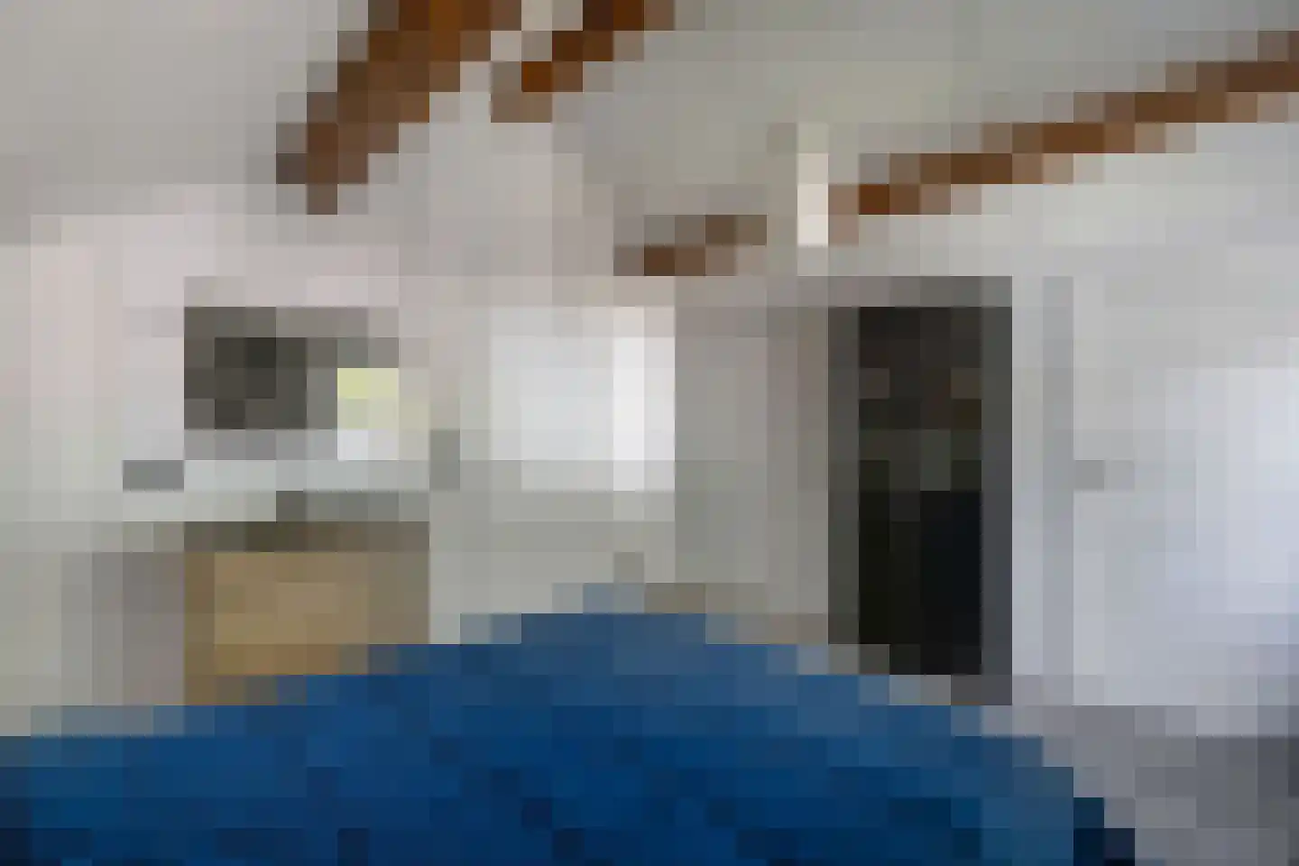 Tweeschaar 28 Bant thumbnail 41