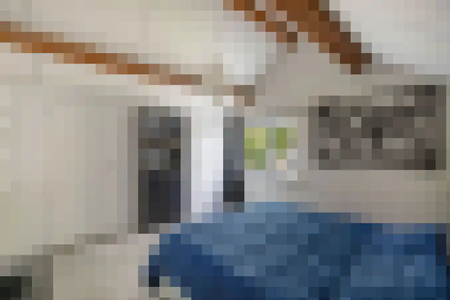Tweeschaar 28 Bant thumbnail 42