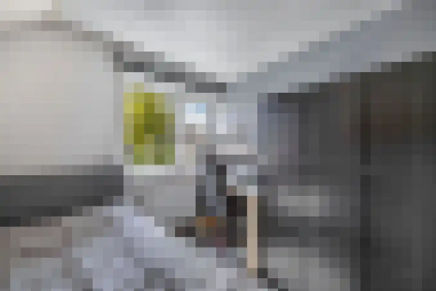Tweeschaar 28 Bant thumbnail 44