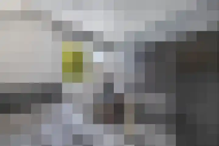 Tweeschaar 28 Bant thumbnail 44