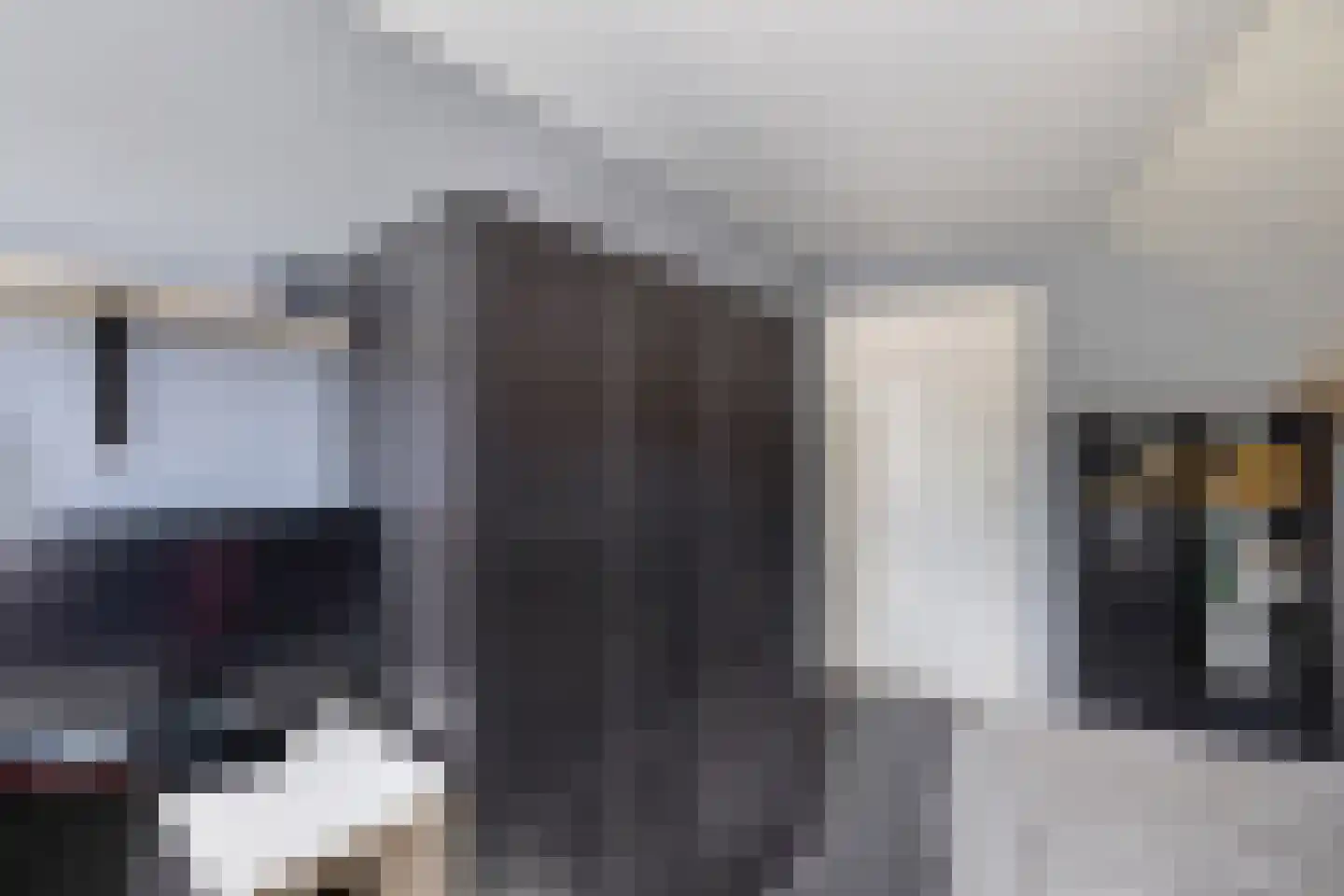 Tweeschaar 28 Bant thumbnail 45