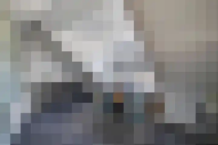 Tweeschaar 28 Bant thumbnail 46
