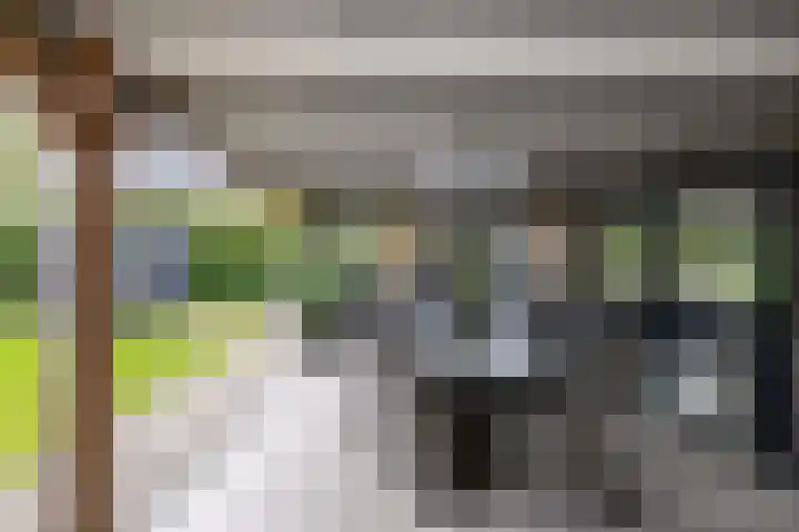 Tweeschaar 28 Bant thumbnail 48
