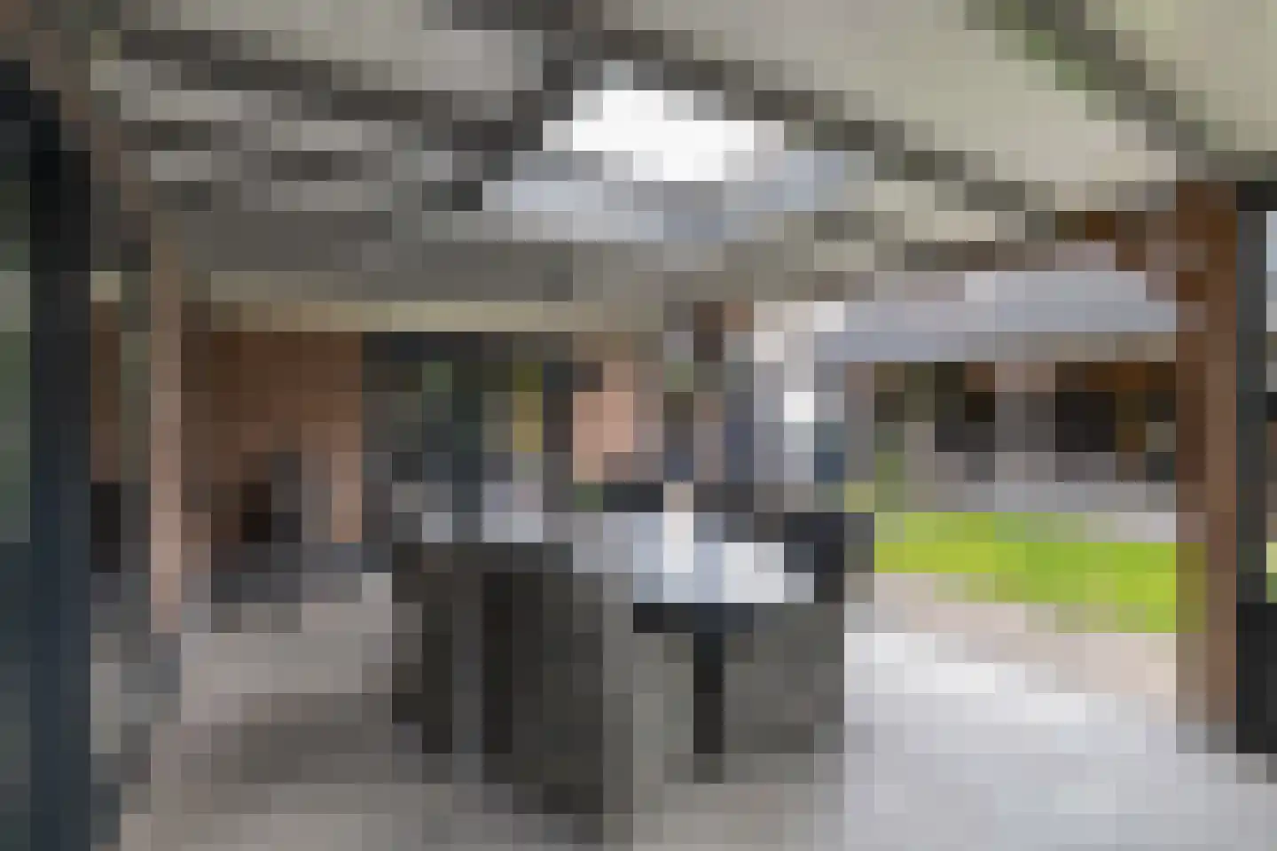 Tweeschaar 28 Bant thumbnail 49