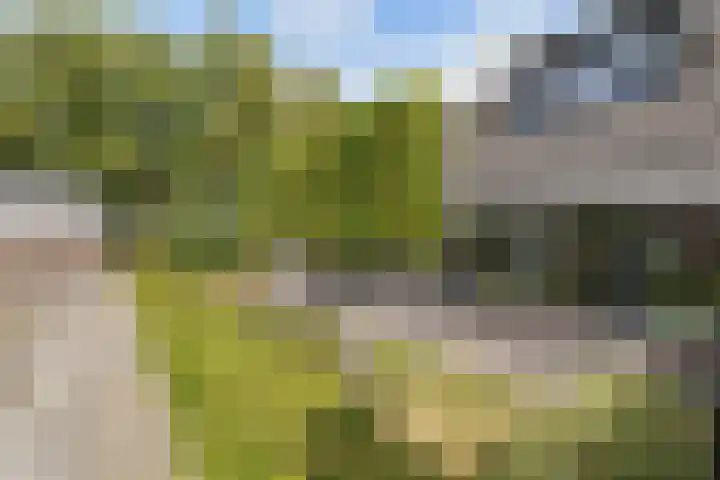 Tweeschaar 28 Bant thumbnail 5