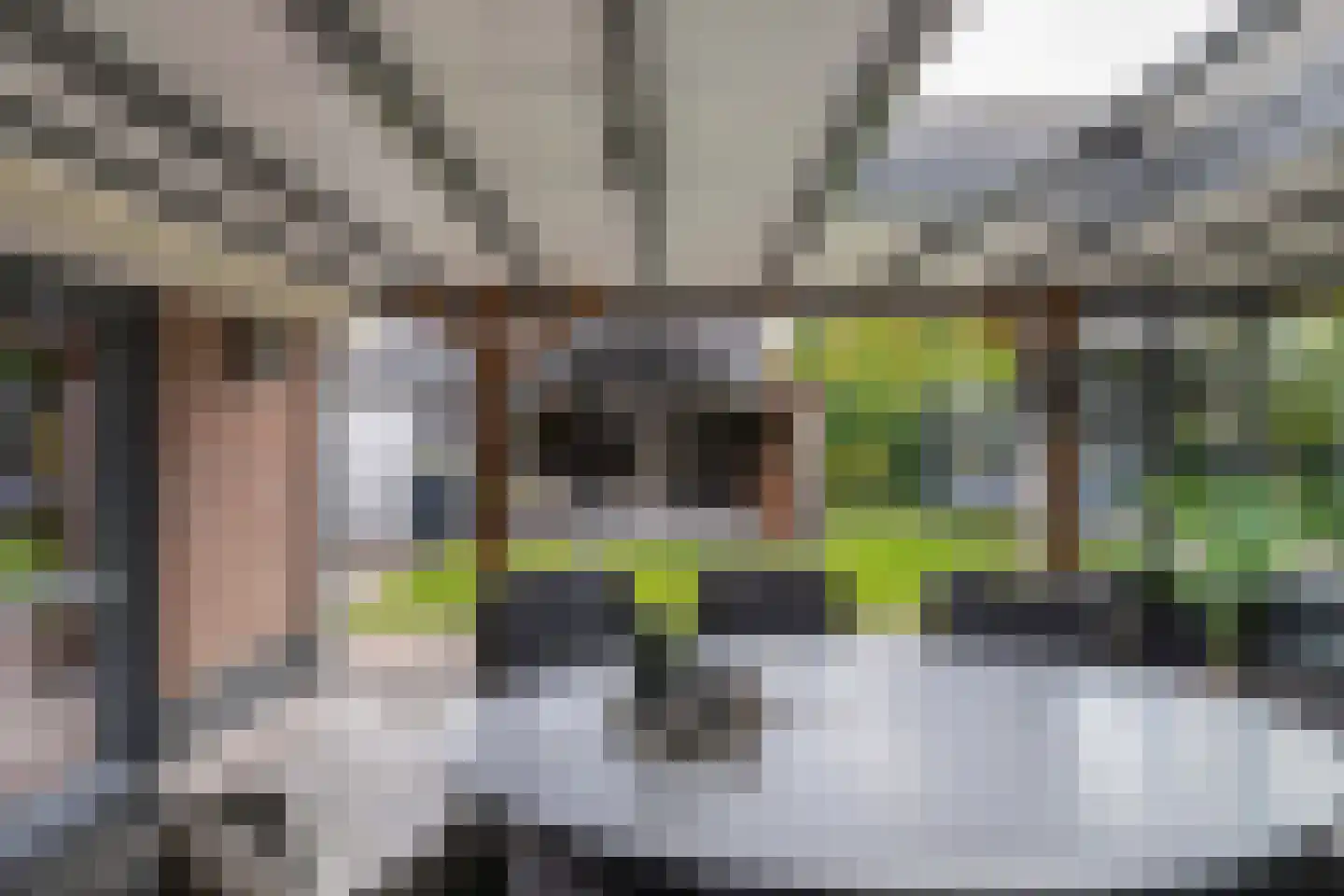 Tweeschaar 28 Bant thumbnail 50