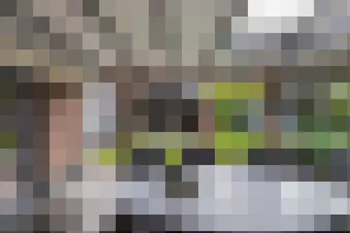 Tweeschaar 28 Bant thumbnail 50