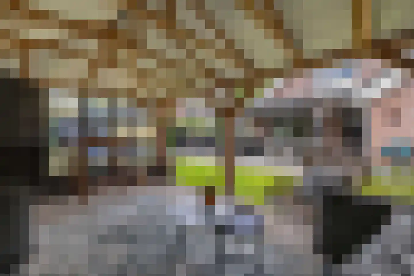 Tweeschaar 28 Bant thumbnail 51
