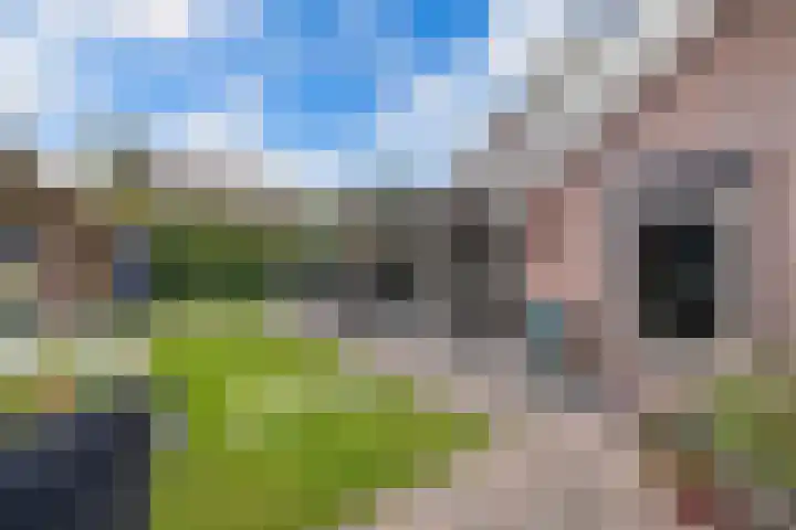 Tweeschaar 28 Bant thumbnail 52