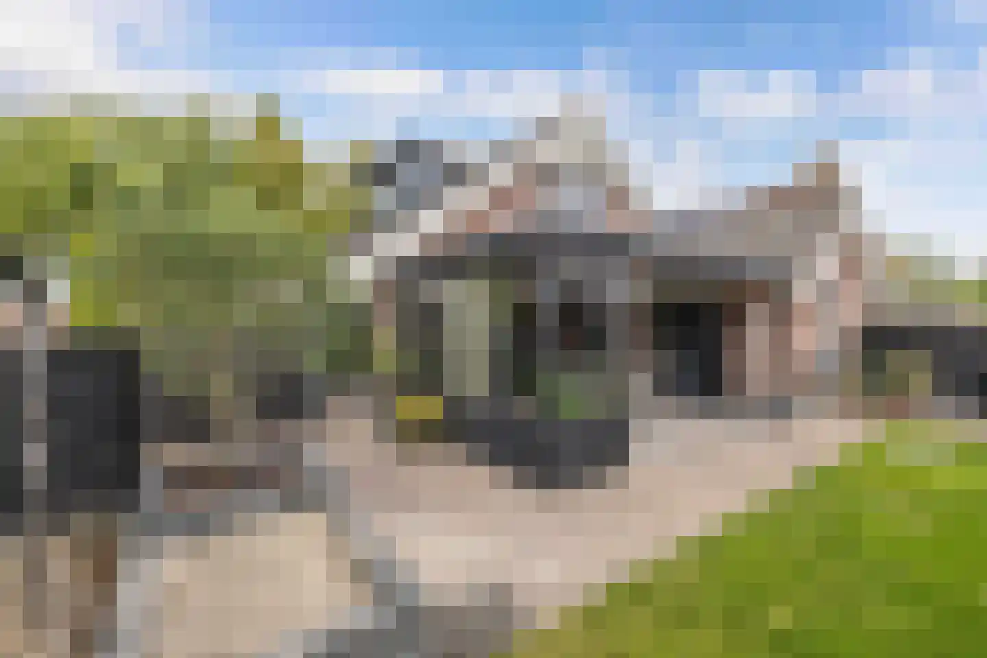 Tweeschaar 28 Bant thumbnail 55