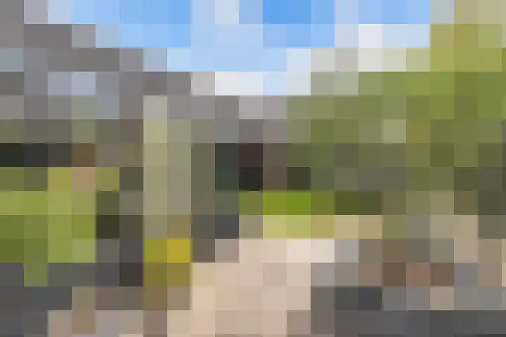 Tweeschaar 28 Bant thumbnail 57
