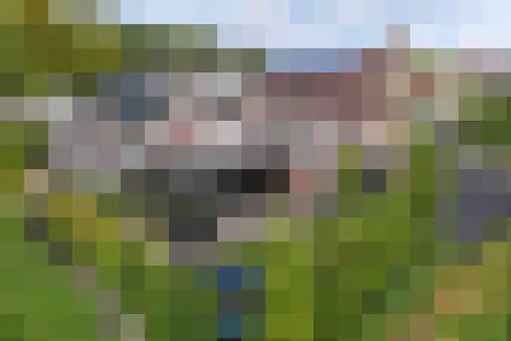 Tweeschaar 28 Bant thumbnail 58