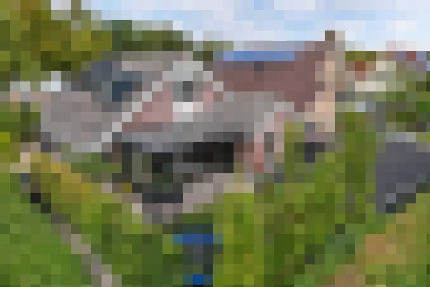Tweeschaar 28 Bant thumbnail 58