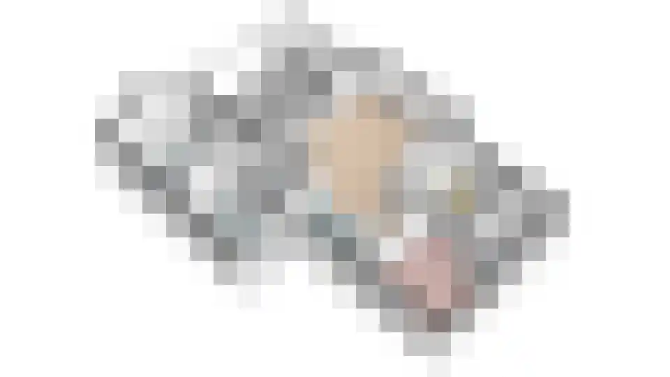 Tweeschaar 28 Bant thumbnail 63