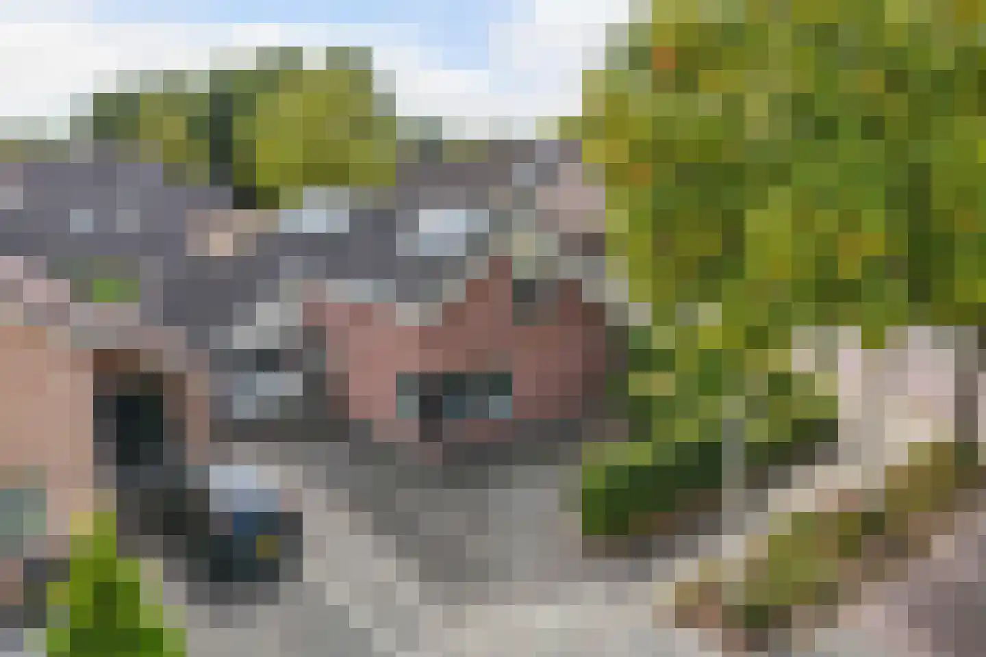 Tweeschaar 28 Bant thumbnail 8