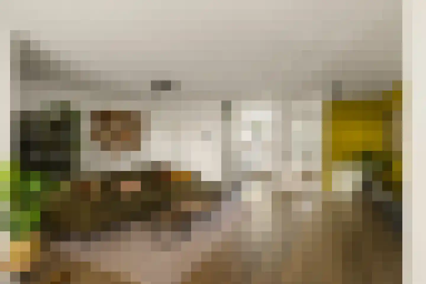 Tweeschaar 40 Bavel thumbnail 10