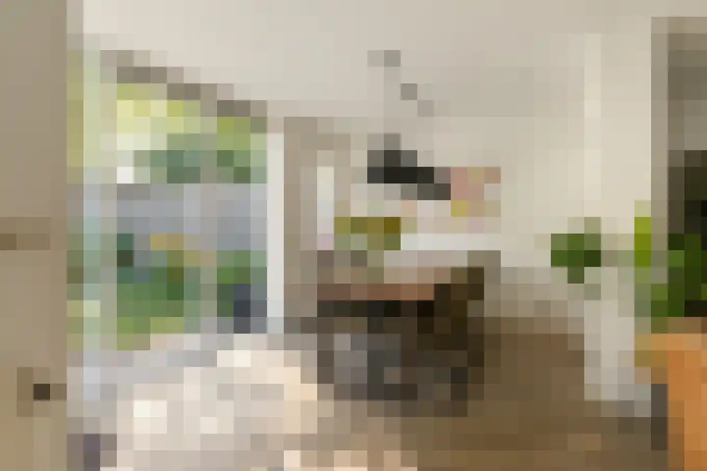 Tweeschaar 40 Bavel thumbnail 12