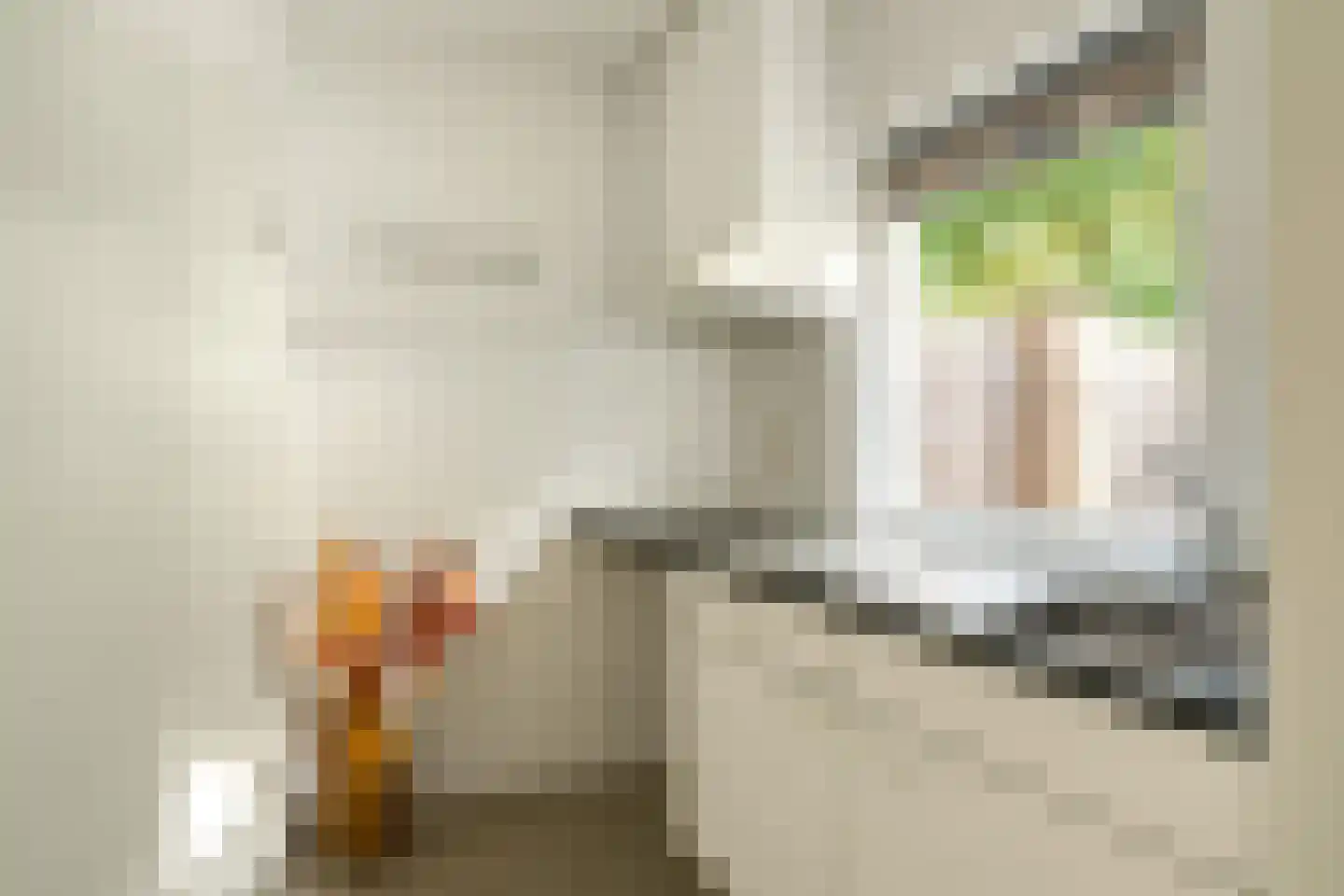 Tweeschaar 40 Bavel thumbnail 14