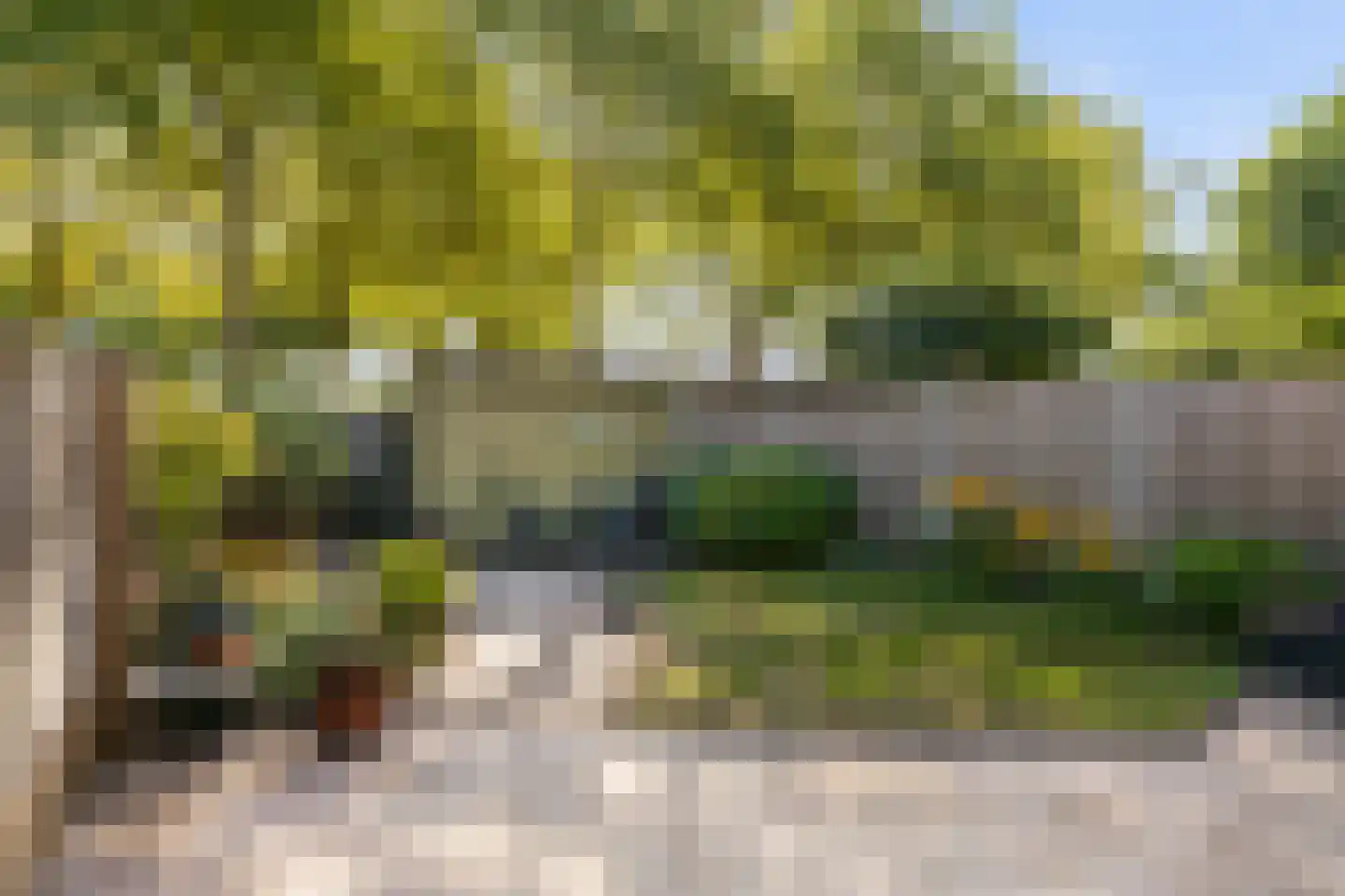 Tweeschaar 40 Bavel thumbnail 15