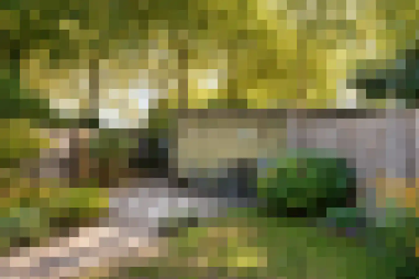 Tweeschaar 40 Bavel thumbnail 16