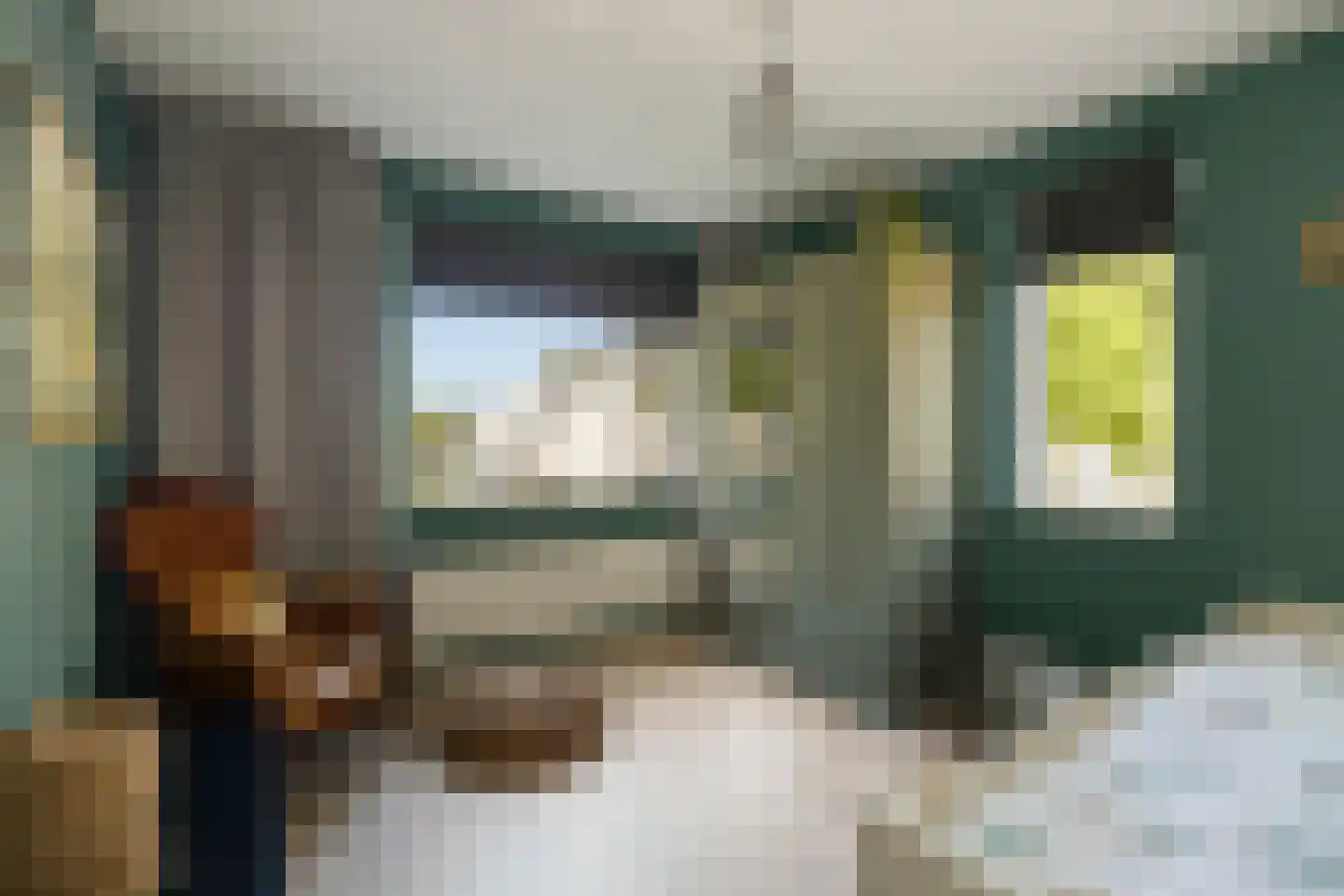 Tweeschaar 40 Bavel thumbnail 22