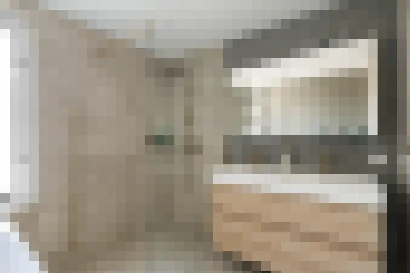 Tweeschaar 40 Bavel thumbnail 25