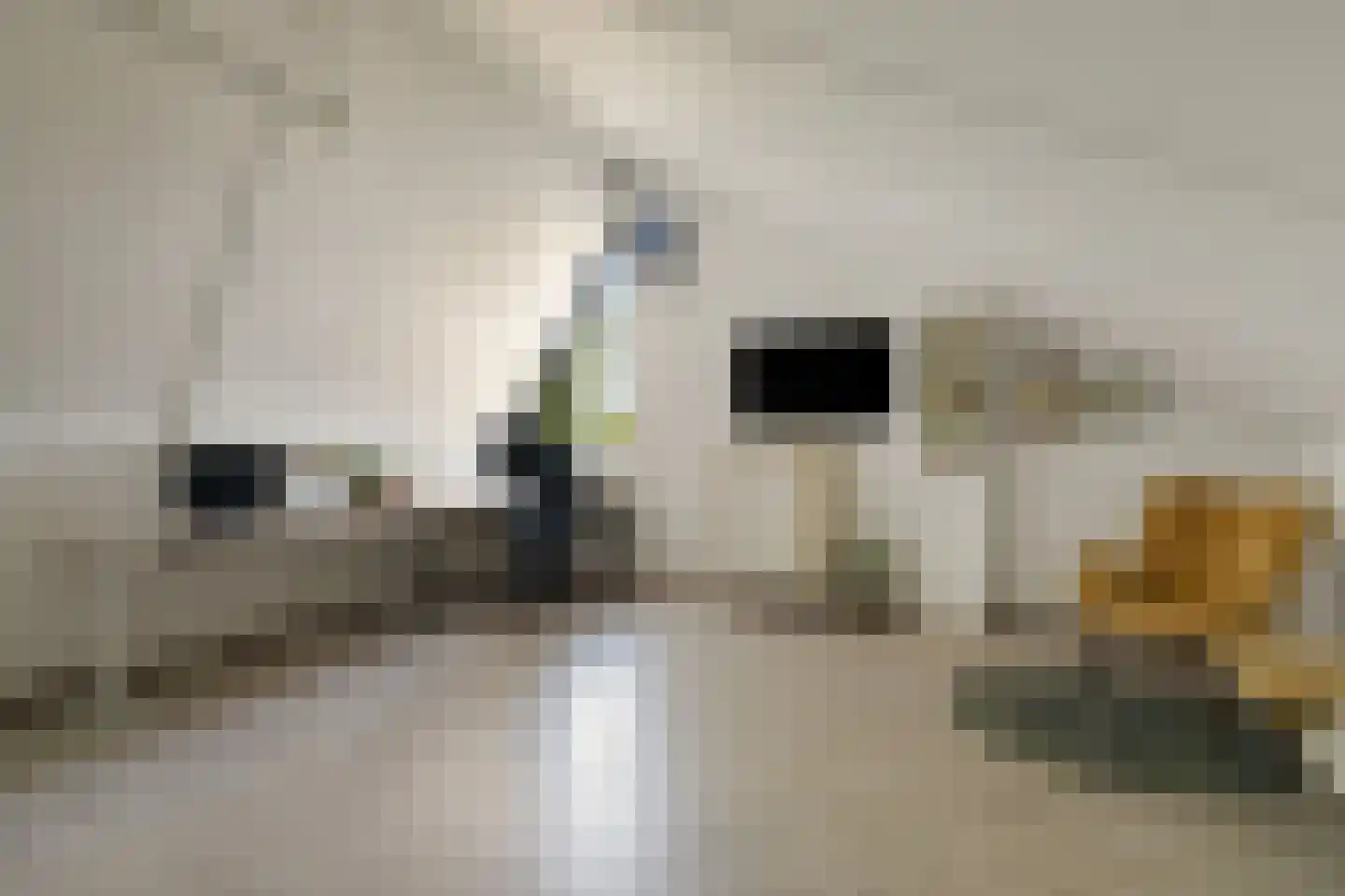 Tweeschaar 40 Bavel thumbnail 28