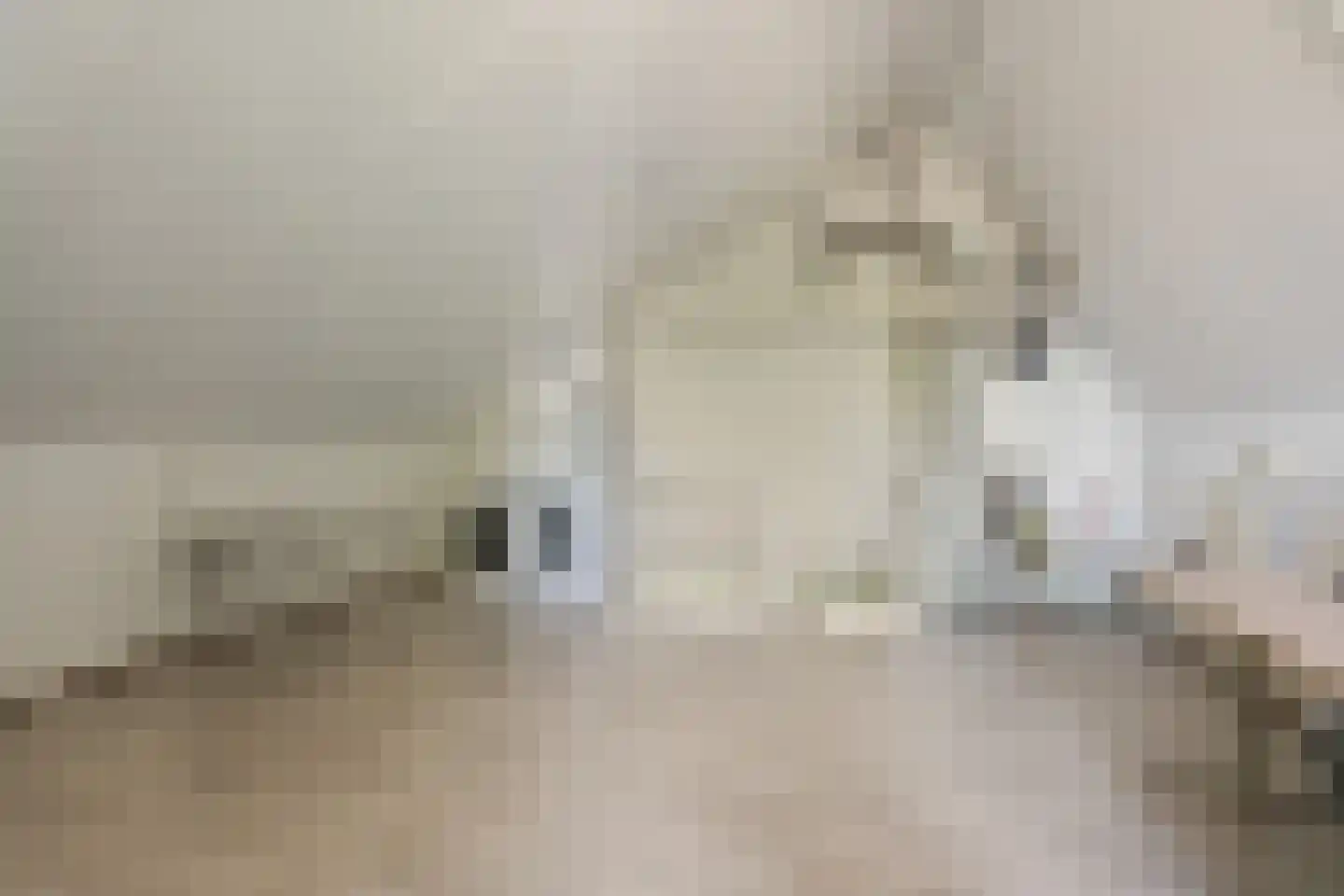 Tweeschaar 40 Bavel thumbnail 29