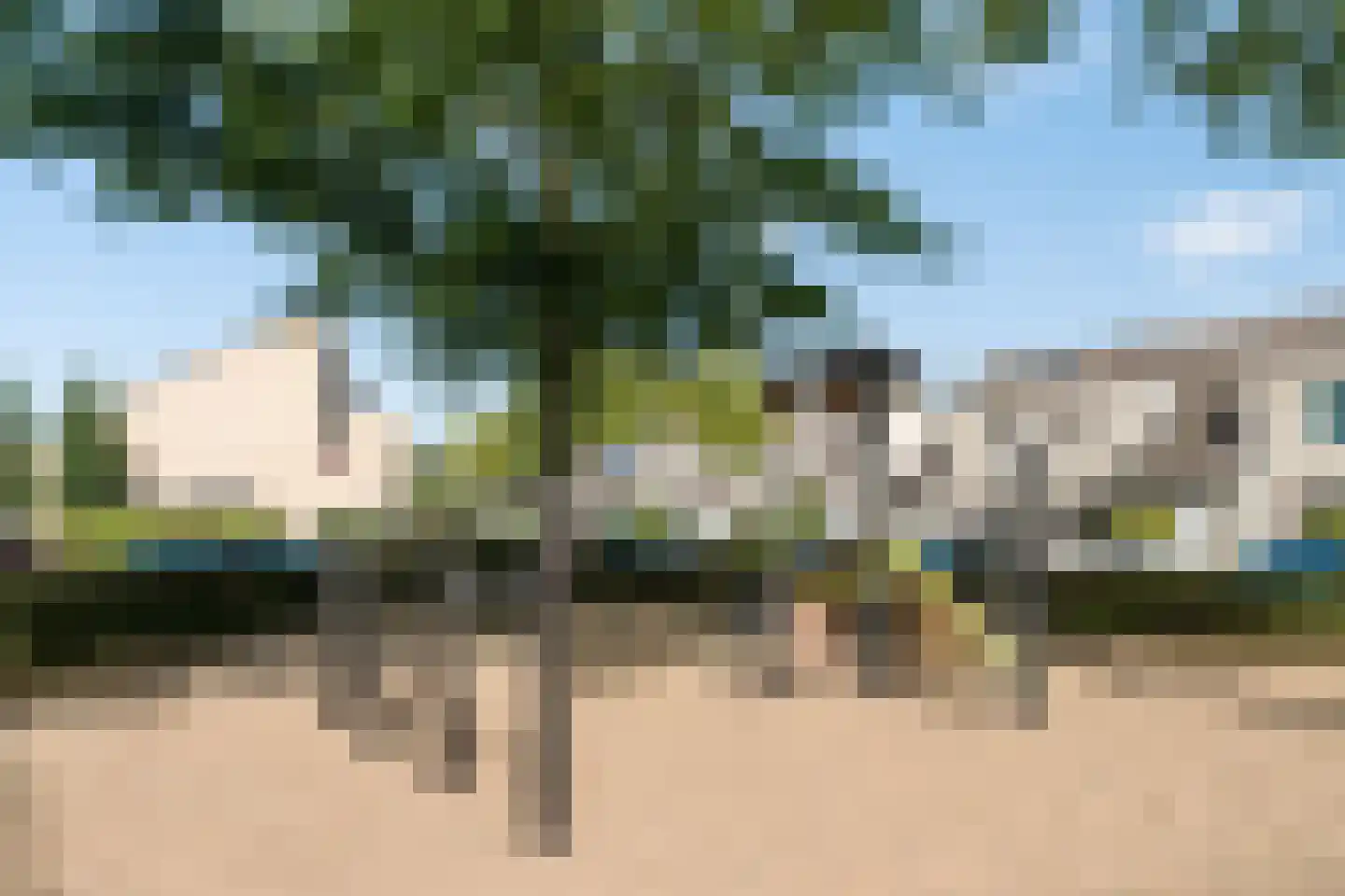 Tweeschaar 40 Bavel thumbnail 31