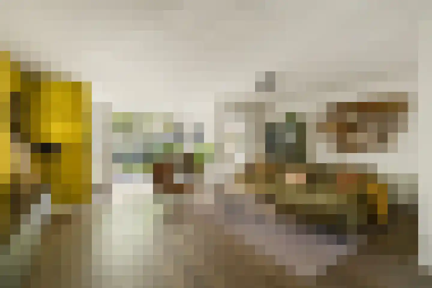 Tweeschaar 40 Bavel thumbnail 9