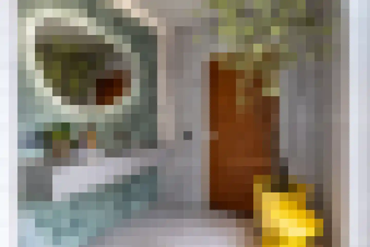 Tweeschaar 56 Bavel thumbnail 27