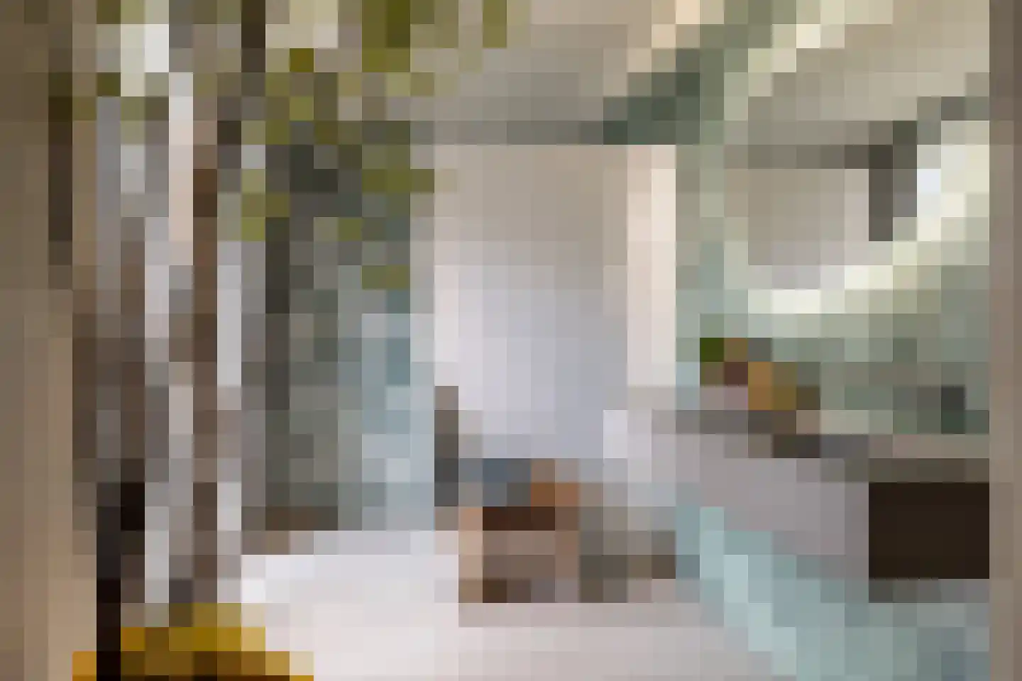 Tweeschaar 56 Bavel thumbnail 29