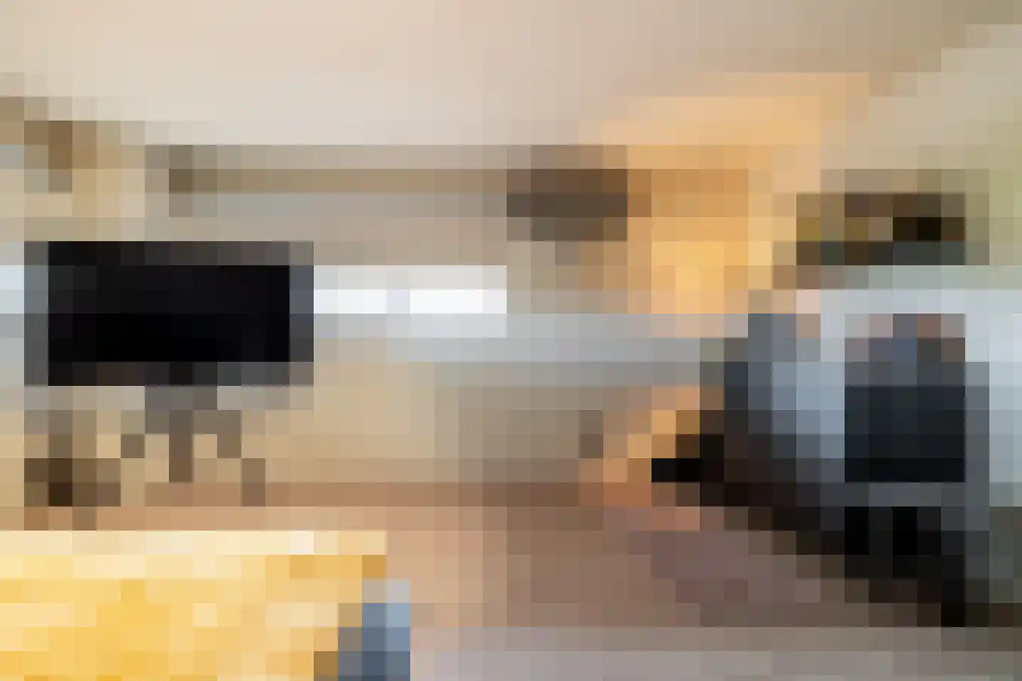 Tweeschaar 56 Bavel thumbnail 33