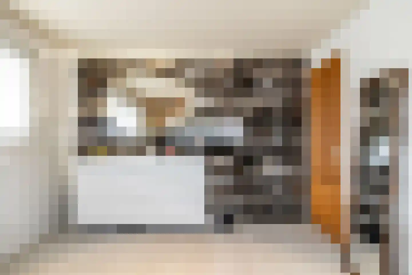 Tweeschaar 56 Bavel thumbnail 35