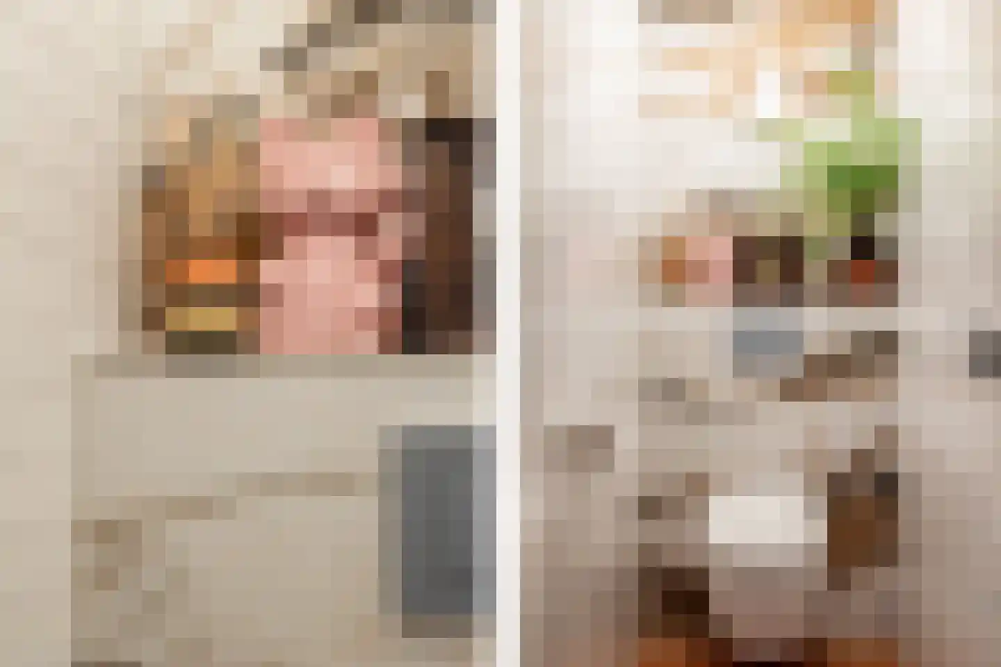 Tweeschaar 56 Bavel thumbnail 37