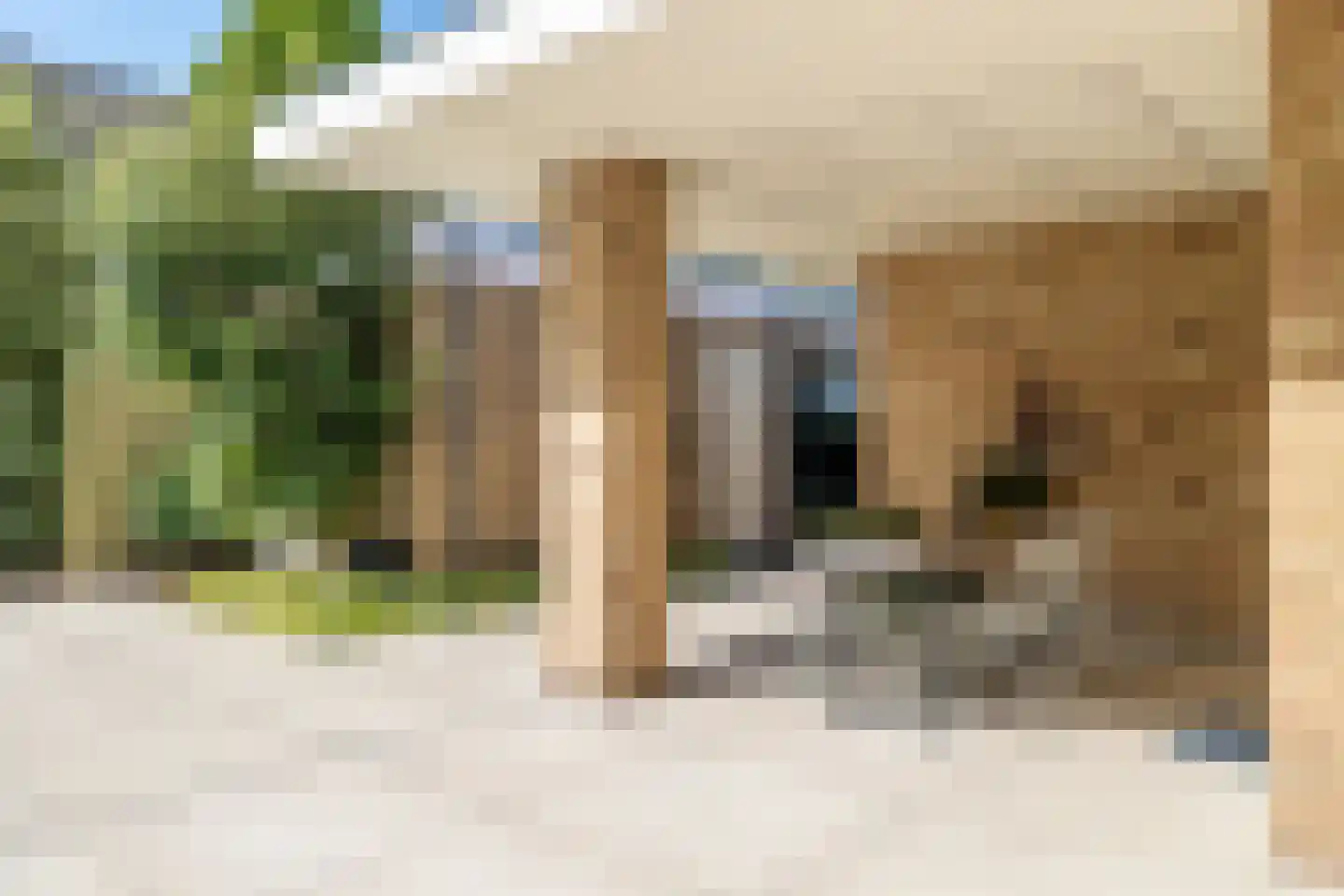 Tweeschaar 56 Bavel thumbnail 45