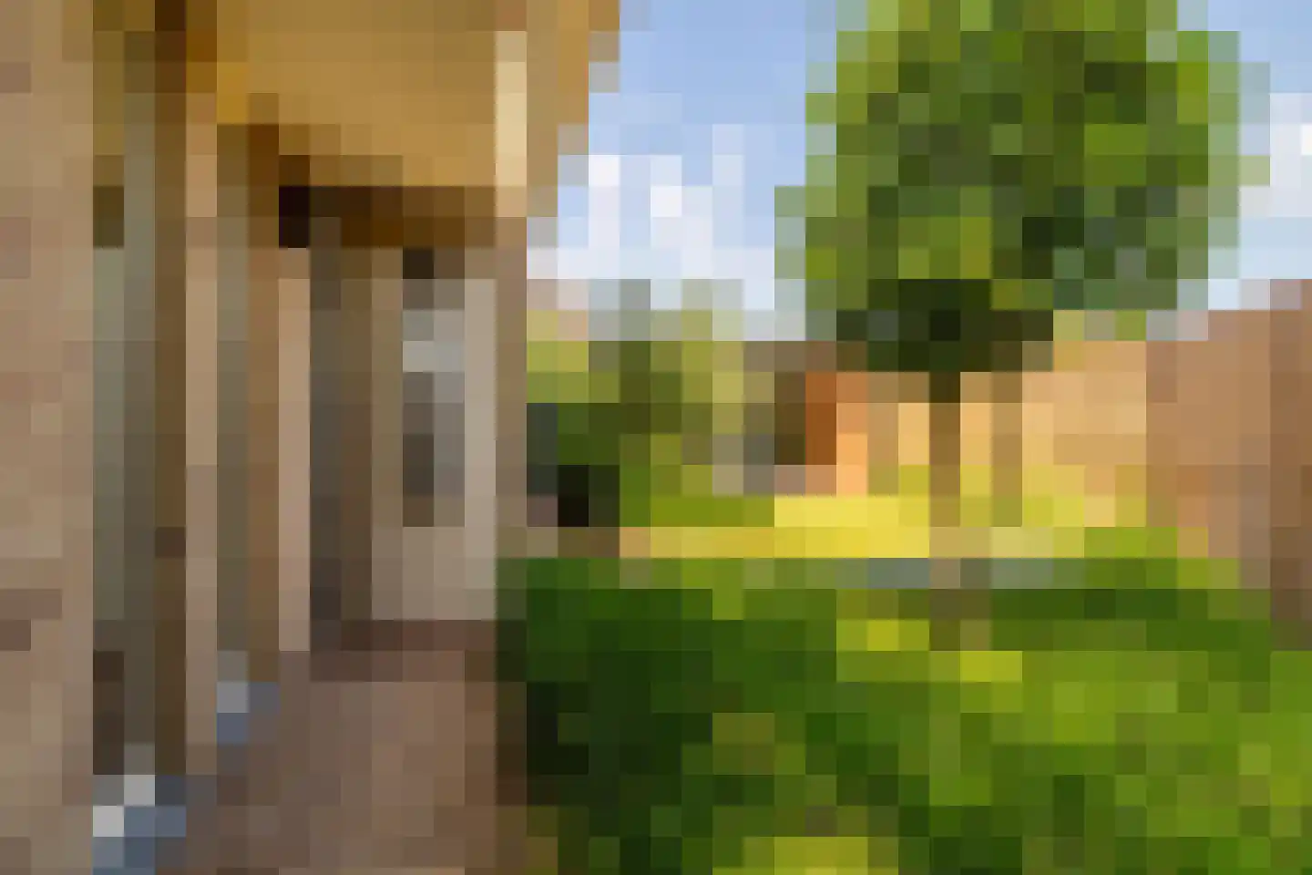 Tweeschaar 56 Bavel thumbnail 47
