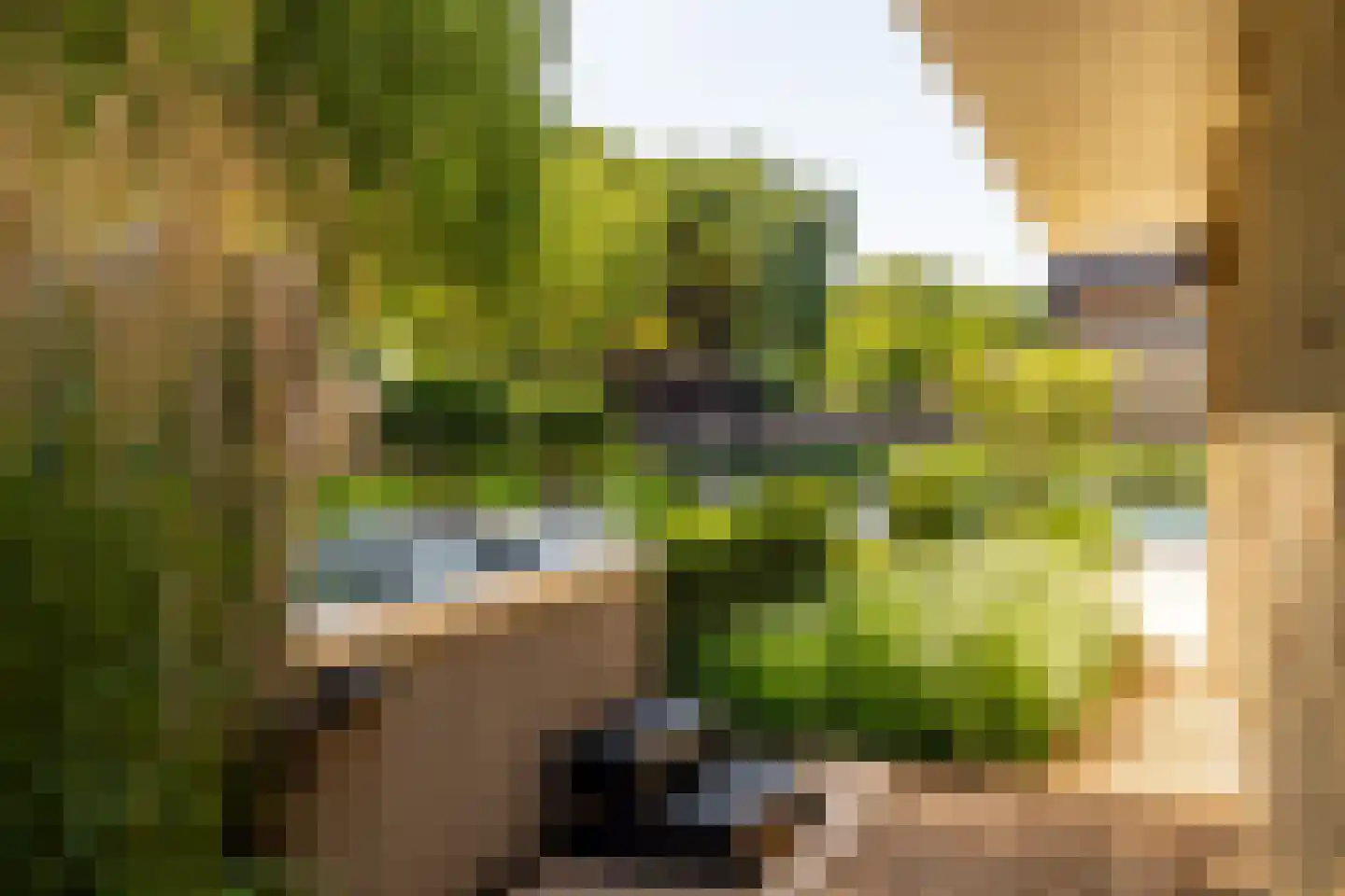 Tweeschaar 56 Bavel thumbnail 48